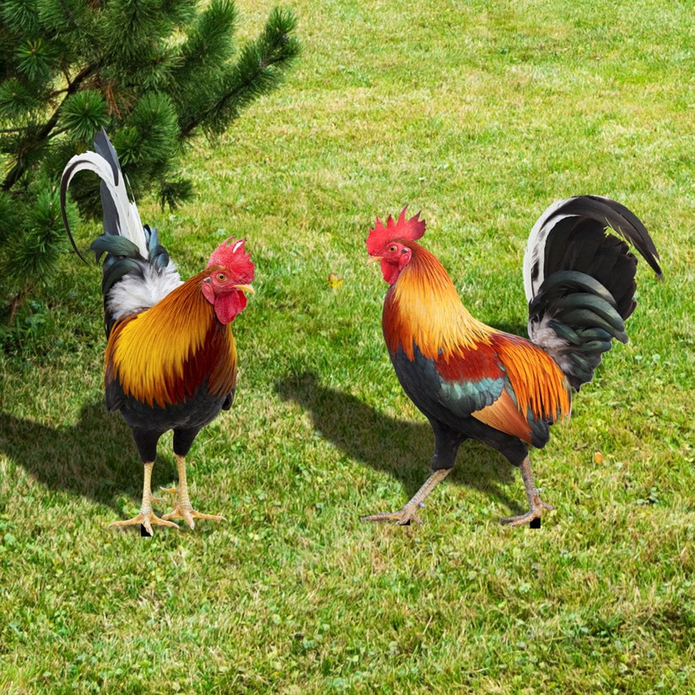 2Pcs Acrylic Rooster Garden Statues & Sculptures, Garden Courtyard Decor, Chicken Yard Art Decor Standing Animal Lawn Ornament for Backyard Patio Outdoor Decor (Not 3D)